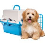 ¿Cómo puedo enviar mascotas, alimentos u objetos no permitidos?